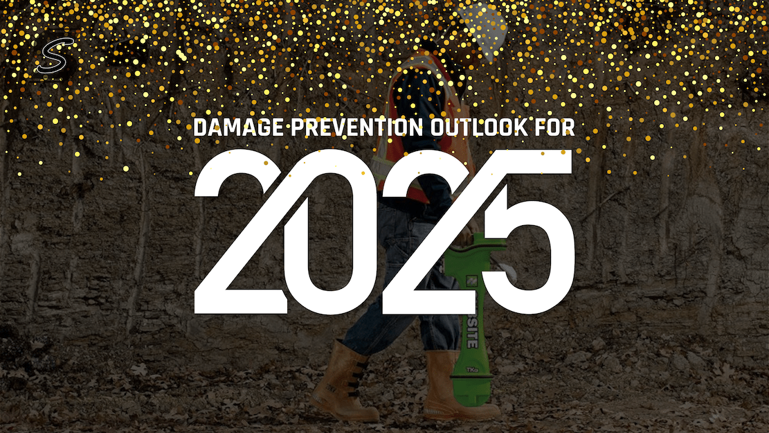 Featured image for “MY 2025 OUTLOOK”